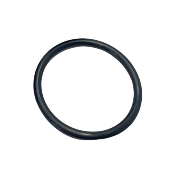 Pool Barrel Union O Ring